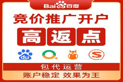 搜索引擎营销（SEM）专员的挑战与机遇